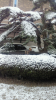 2011021108220000.jpg